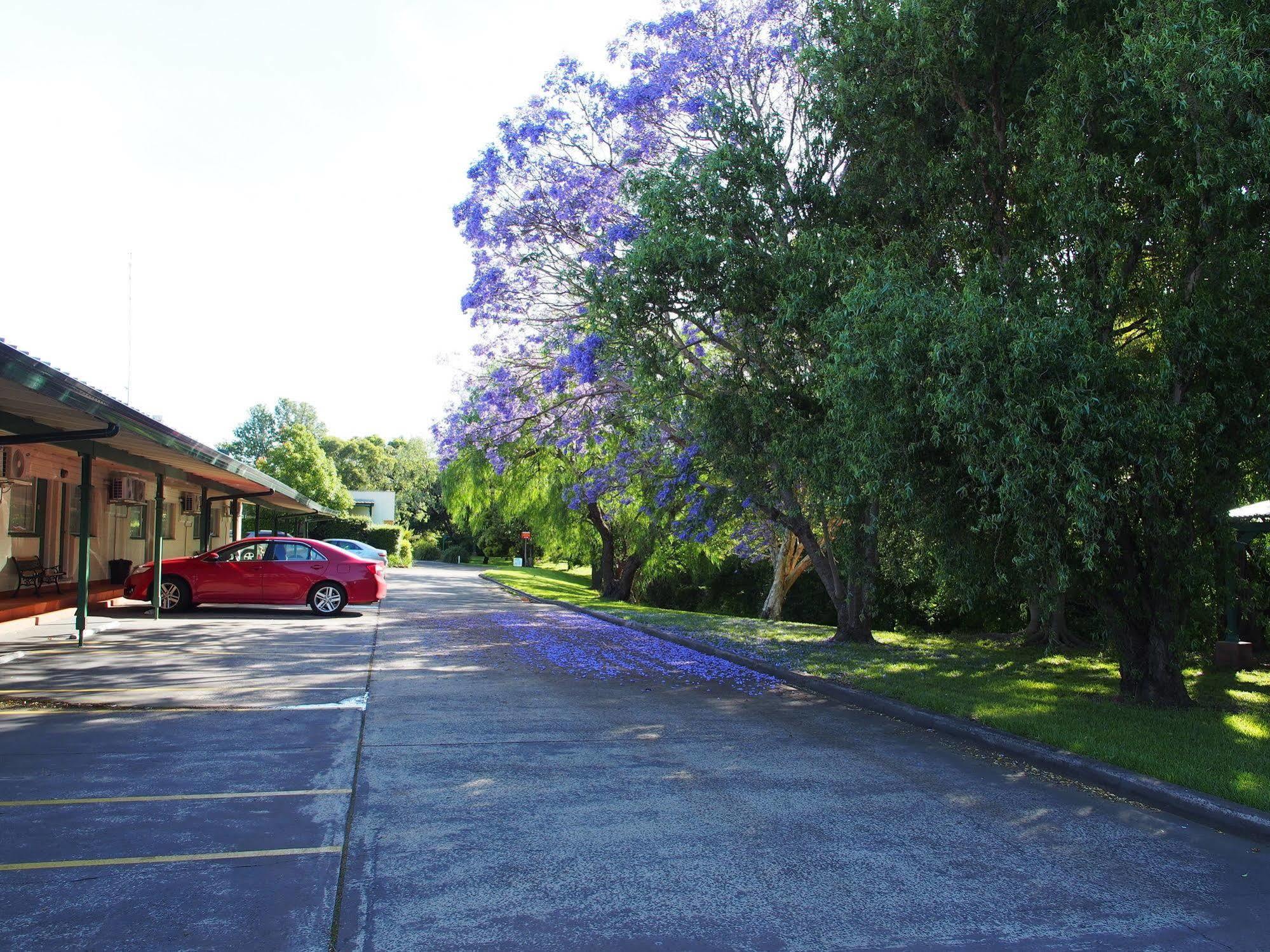 Solomon Inn Motel Figtree Wollongong Exteriör bild